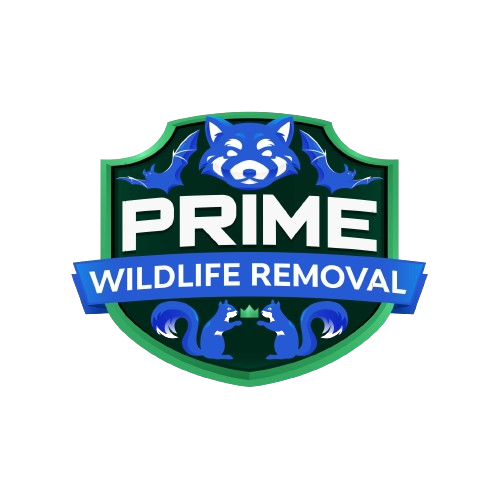 Animal Removal Greencastle